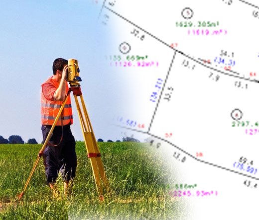 Goverments TLR Survey